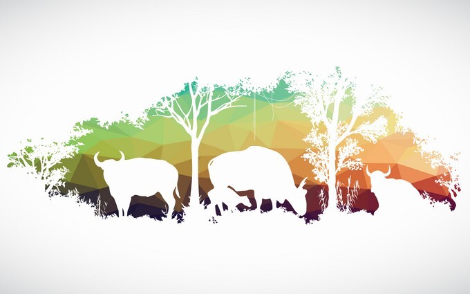 Patterned african wildlife concept